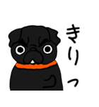 黒パグこてつだぞ（個別スタンプ：11）