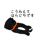 黒パグこてつだぞ（個別スタンプ：13）