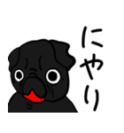黒パグこてつだぞ（個別スタンプ：16）