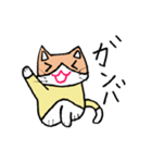 cute talking cat（個別スタンプ：5）