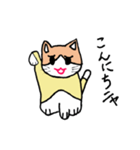 cute talking cat（個別スタンプ：6）