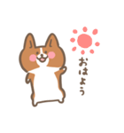 ゆるっとコーギー（個別スタンプ：1）