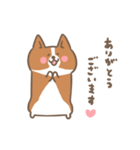 ゆるっとコーギー（個別スタンプ：3）