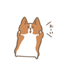 ゆるっとコーギー（個別スタンプ：21）