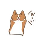 ゆるっとコーギー（個別スタンプ：22）