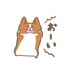 ゆるっとコーギー（個別スタンプ：23）