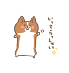 ゆるっとコーギー（個別スタンプ：24）