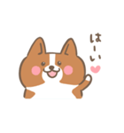 ゆるっとコーギー（個別スタンプ：25）