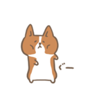ゆるっとコーギー（個別スタンプ：29）