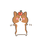 ゆるっとコーギー（個別スタンプ：36）
