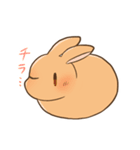 うさぎさん生活（個別スタンプ：3）