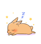 うさぎさん生活（個別スタンプ：8）