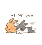 うさぎさん生活（個別スタンプ：24）