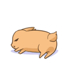 うさぎさん生活（個別スタンプ：33）