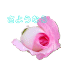 愛する人へ（個別スタンプ：23）