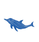 海の生き物スタンプ！！！！！（個別スタンプ：1）