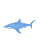 海の生き物スタンプ！！！！！（個別スタンプ：3）
