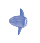 海の生き物スタンプ！！！！！（個別スタンプ：6）