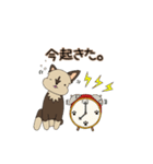 ザジ子の毎日。（個別スタンプ：13）