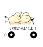 吹き出しひよこ（個別スタンプ：29）