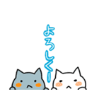 にひきのねこ《毎日使える》カラフル！（個別スタンプ：13）