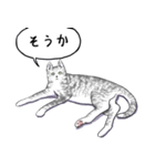 いいネコキャット2（日本語版）（個別スタンプ：3）