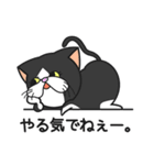 三匹の猫と徹夜しよ。（個別スタンプ：5）