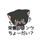 三匹の猫と徹夜しよ。（個別スタンプ：8）