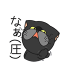 三匹の猫と徹夜しよ。（個別スタンプ：11）
