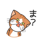 三匹の猫と徹夜しよ。（個別スタンプ：12）