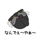 三匹の猫と徹夜しよ。（個別スタンプ：16）