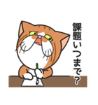 三匹の猫と徹夜しよ。（個別スタンプ：17）