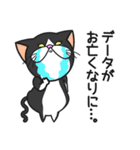 三匹の猫と徹夜しよ。（個別スタンプ：22）
