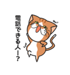 三匹の猫と徹夜しよ。（個別スタンプ：26）