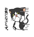 三匹の猫と徹夜しよ。（個別スタンプ：37）