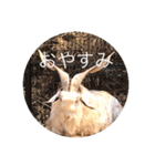四季折々18（個別スタンプ：4）