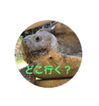 四季折々18（個別スタンプ：5）