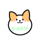 ゆるい動物 日常会話（個別スタンプ：5）