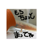 ウパマル（個別スタンプ：2）