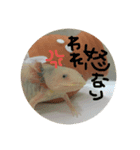 ウパマル（個別スタンプ：5）