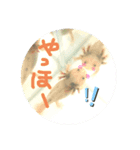 ウパマル（個別スタンプ：6）