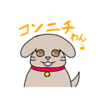 動物達の日常 2019（個別スタンプ：3）