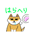 動物達の日常 2019（個別スタンプ：6）