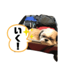 毎日すぅたん2（個別スタンプ：7）