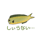 翔海ちゃんスタンプ➕（個別スタンプ：12）