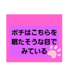 文字ポチ（個別スタンプ：3）
