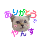 でやんす❤️スタンプ（個別スタンプ：1）