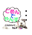 でやんす❤️スタンプ（個別スタンプ：2）