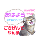 でやんす❤️スタンプ（個別スタンプ：3）