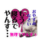 でやんす❤️スタンプ（個別スタンプ：4）